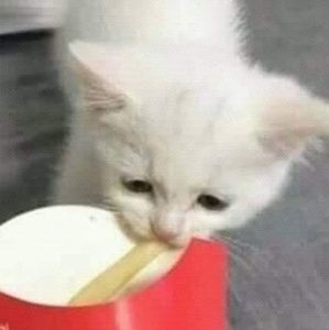 Meet your Posher, Ever